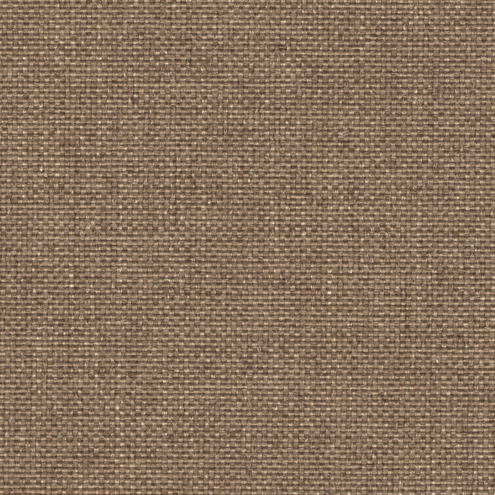Macarena Mushroom fabric swatch